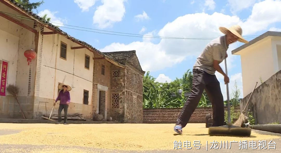 新希望富硒大米（富硒的大米）-硒宝网