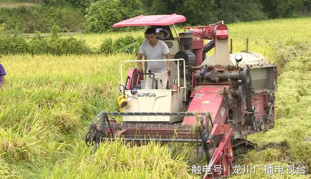 新希望富硒大米（富硒的大米）-硒宝网