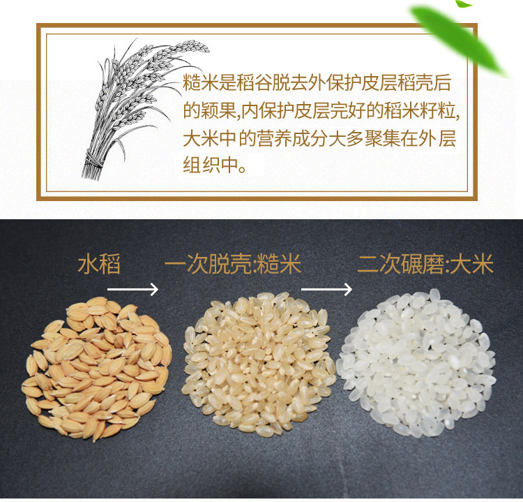 舟山富硒锌大米（富硒富锌大米）-硒宝网