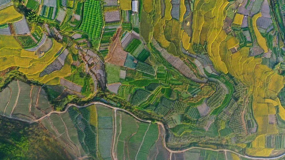 丽江富硒锌大米（锌硒大米有什么营养）-硒宝网