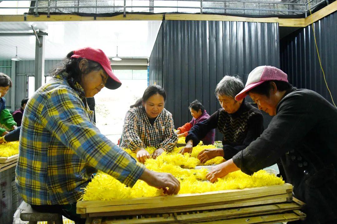 丽江富硒锌大米（锌硒大米有什么营养）-硒宝网