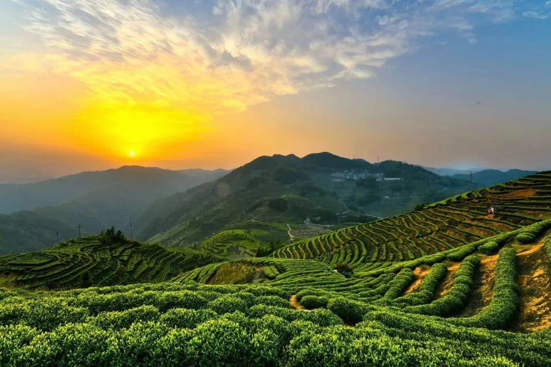 丽江富硒锌大米（锌硒大米有什么营养）-硒宝网