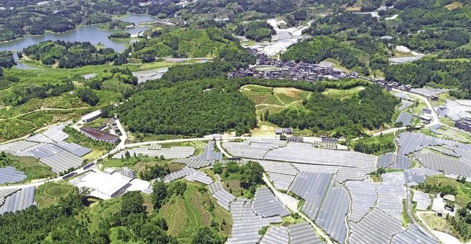 丽江富硒锌大米（锌硒大米有什么营养）-硒宝网