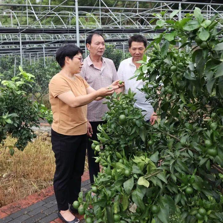 丽江富硒锌大米（锌硒大米有什么营养）-硒宝网