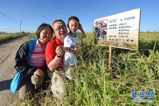 沈阳富硒锌大米(富锌大米价格)-硒宝网