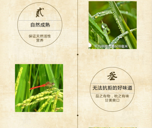 富硒大米的现状(富硒大米市场前景)-硒宝网