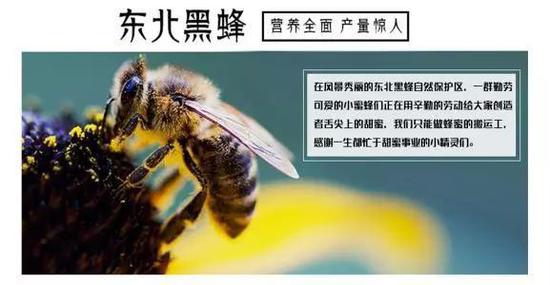 安东米富硒大米(安徽富硒大米)-硒宝网