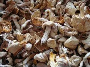 安东米富硒大米(安徽富硒大米)-硒宝网