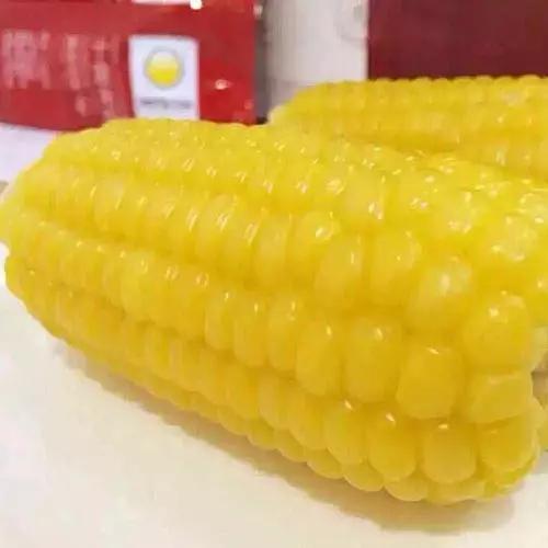 安东米富硒大米(安徽富硒大米)-硒宝网