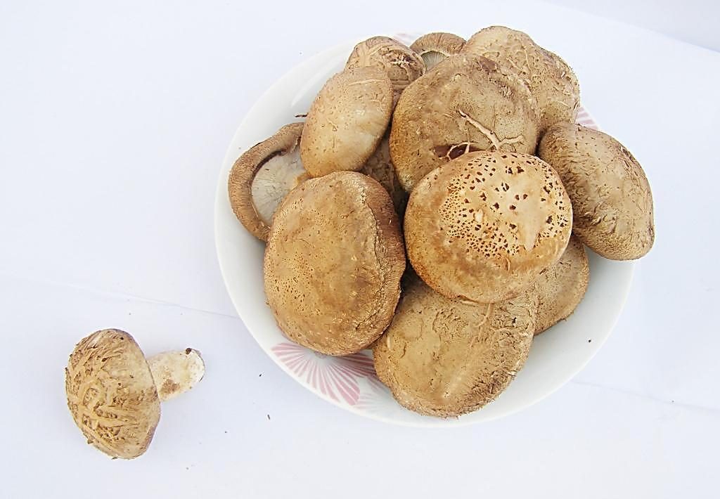 富硒核桃和大米（核桃米的营养价值）-硒宝网