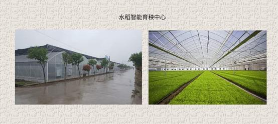 舟山富硒锌大米（大米锌舟山富硒含量多少）-硒宝网