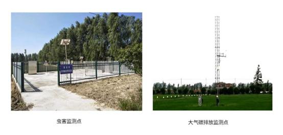 舟山富硒锌大米（大米锌舟山富硒含量多少）-硒宝网