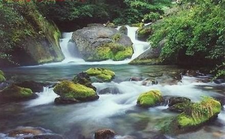 吉林富硒大米酒(吉林富硒大米品牌)-硒宝网