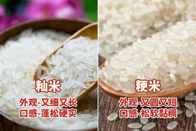 富硒大米的煮法(富硒大米煮饭好吃还是煮粥好吃)-硒宝网