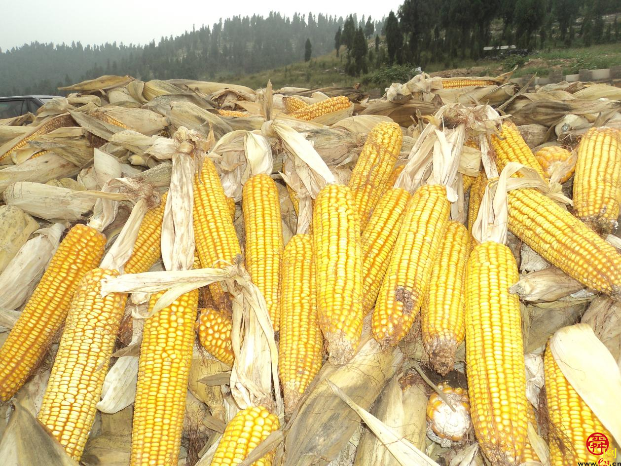 富硒大米李佳琦(富硒优质大米)-硒宝网