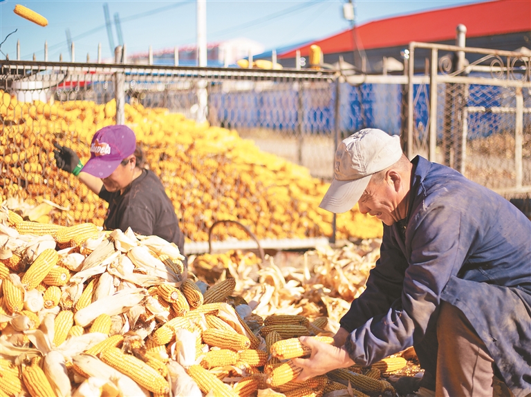 富硒大米李佳琦(富硒优质大米)-硒宝网