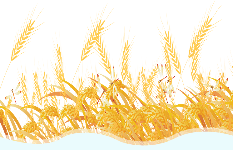 辽宁富硒锌大米(大米锌辽宁富硒含量高吗)-硒宝网