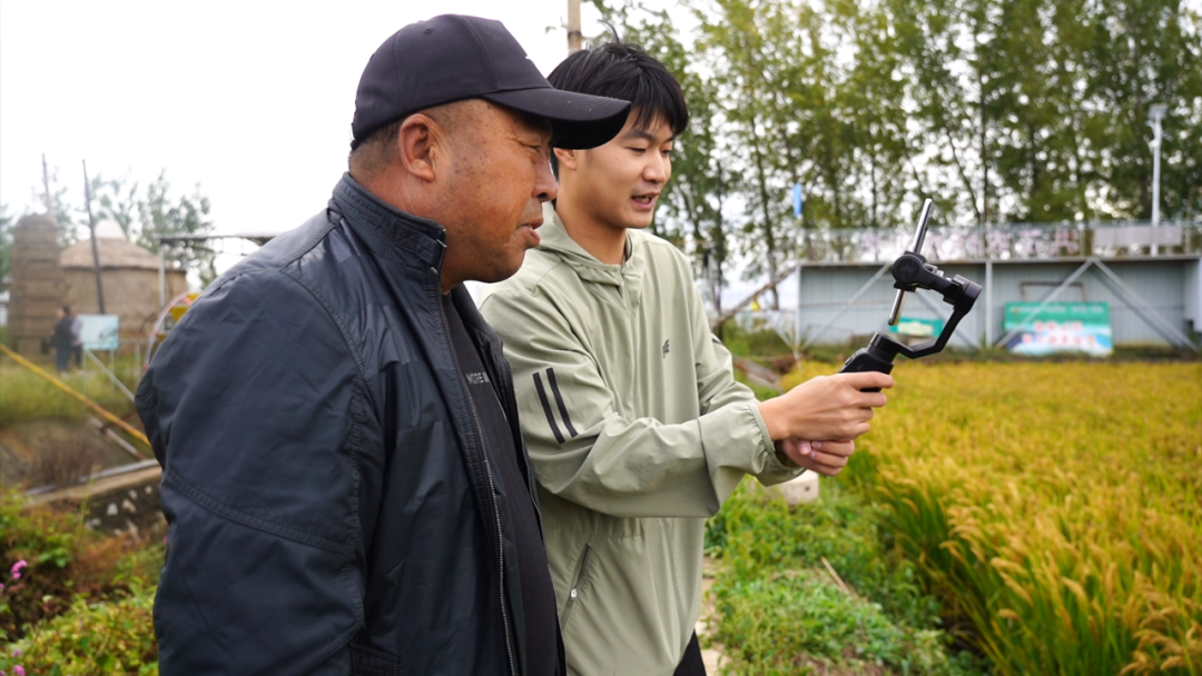 辽宁富硒锌大米(大米锌辽宁富硒含量高吗)-硒宝网