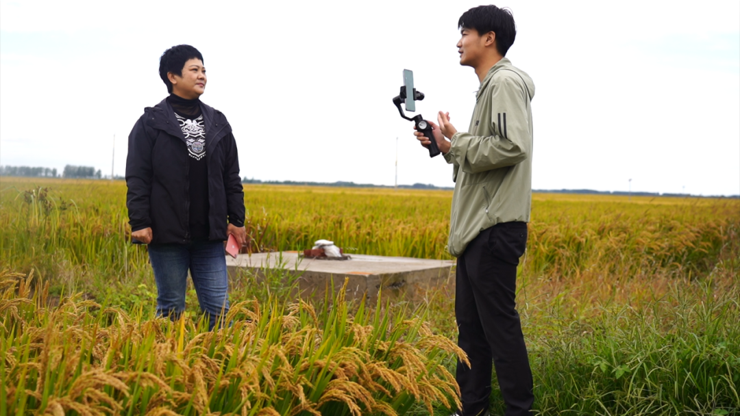 辽宁富硒锌大米(大米锌辽宁富硒含量高吗)-硒宝网