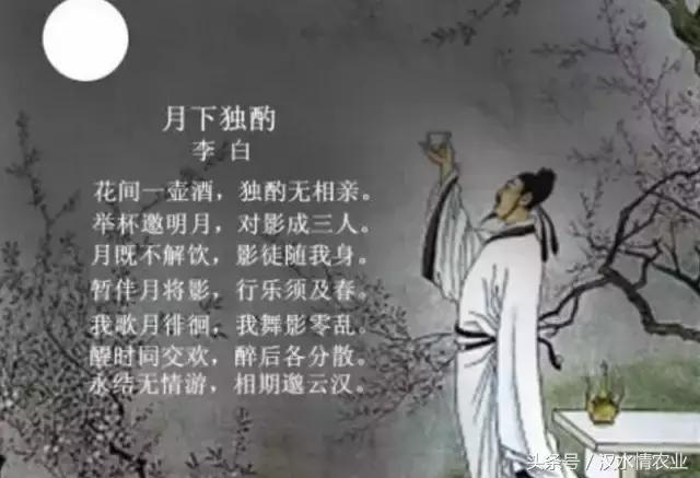 产妇吃富硒大米(大米产妇吃富硒可以吗)-硒宝网