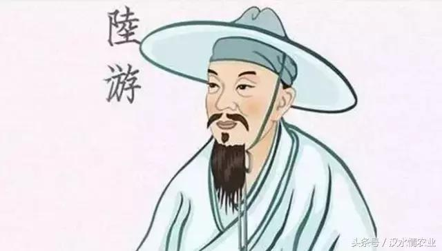 产妇吃富硒大米(大米产妇吃富硒可以吗)-硒宝网