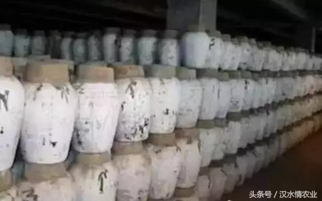 产妇吃富硒大米(大米产妇吃富硒可以吗)-硒宝网