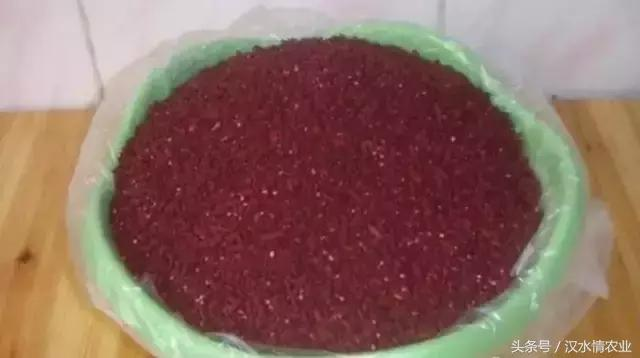 产妇吃富硒大米(大米产妇吃富硒可以吗)-硒宝网