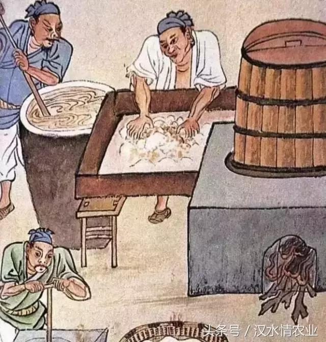 产妇吃富硒大米(大米产妇吃富硒可以吗)-硒宝网