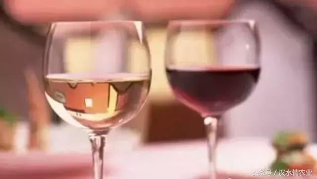 产妇吃富硒大米(大米产妇吃富硒可以吗)-硒宝网