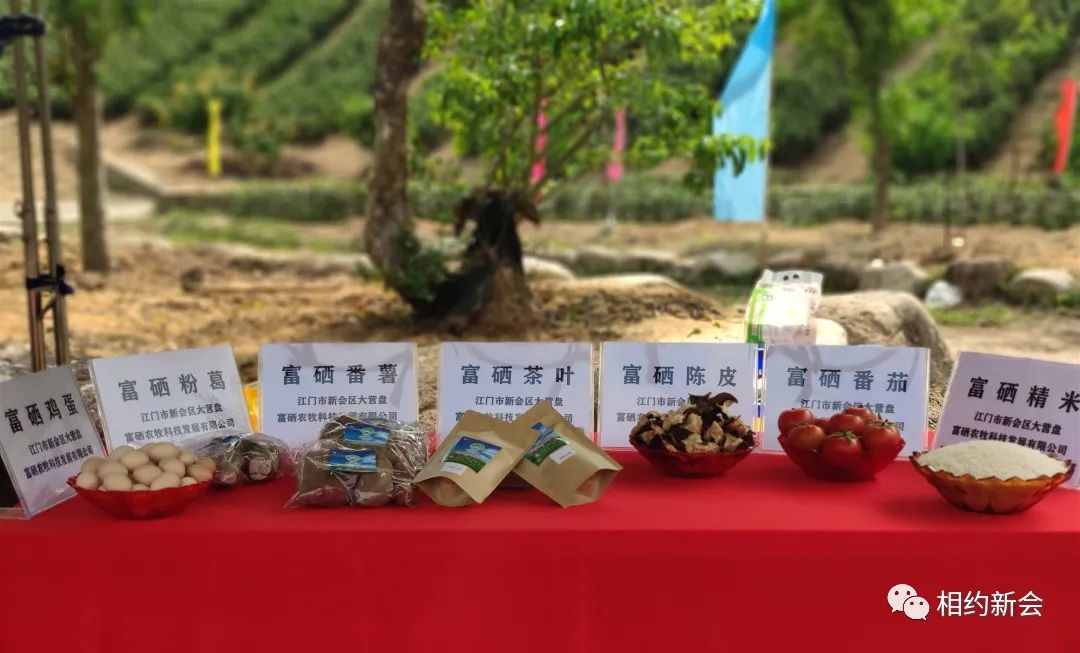 富硒的大米基地（富硒大米之乡）-硒宝网