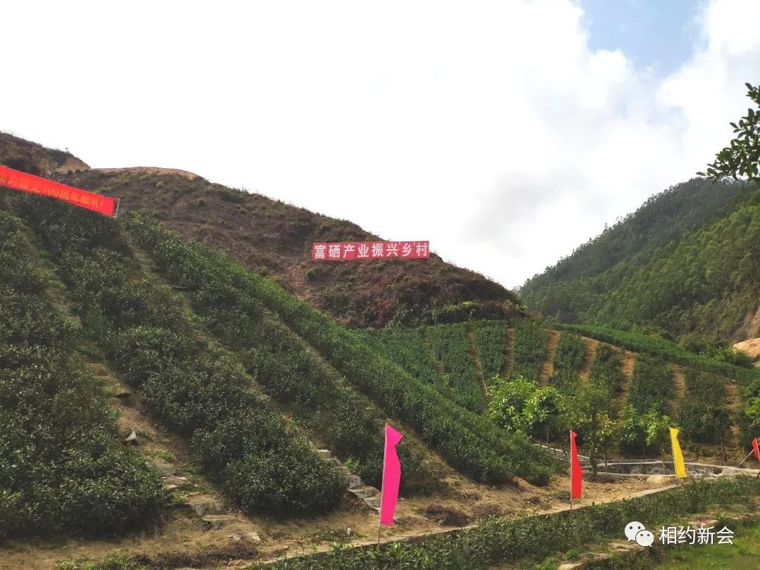 富硒的大米基地（富硒大米之乡）-硒宝网