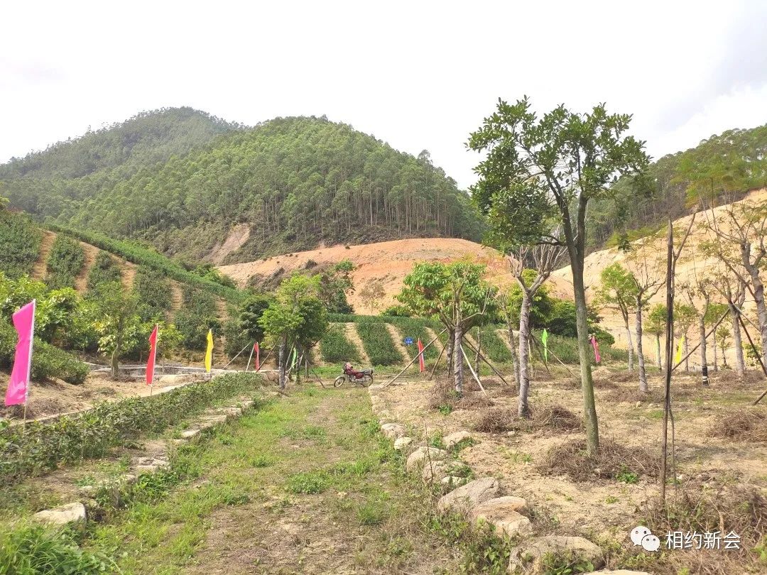 富硒的大米基地（富硒大米之乡）-硒宝网