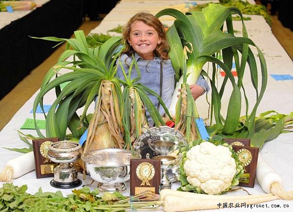 给富硒大米起名（给大米起名）-硒宝网