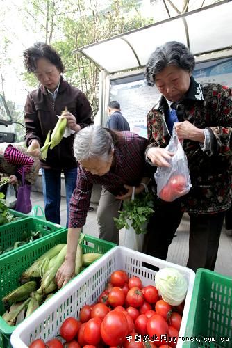 给富硒大米起名（给大米起名）-硒宝网