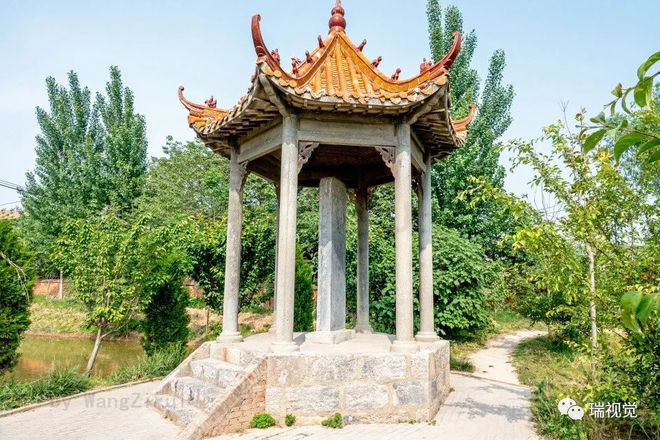 原阳富硒芽大米(大米芽功效)-硒宝网