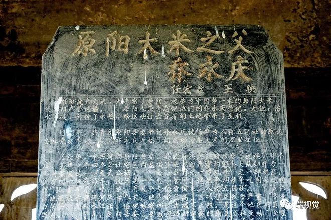 原阳富硒芽大米(大米芽功效)-硒宝网