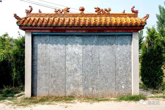 原阳富硒芽大米(大米芽功效)-硒宝网