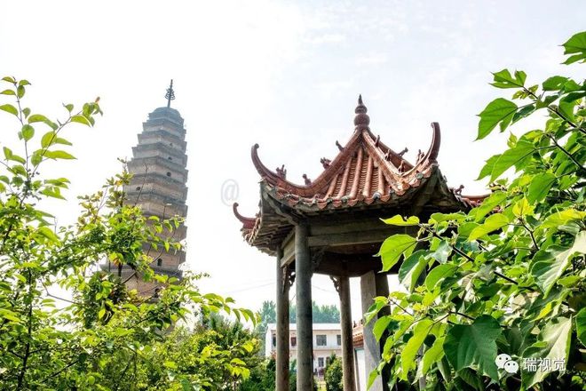 原阳富硒芽大米(大米芽功效)-硒宝网