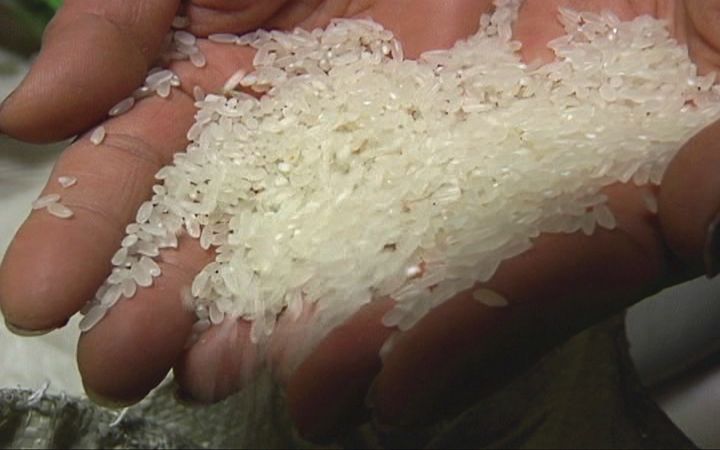 富硒的大米基地(富硒大米市场分析)-硒宝网