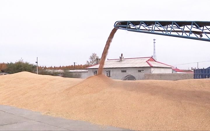 富硒的大米基地(富硒大米市场分析)-硒宝网