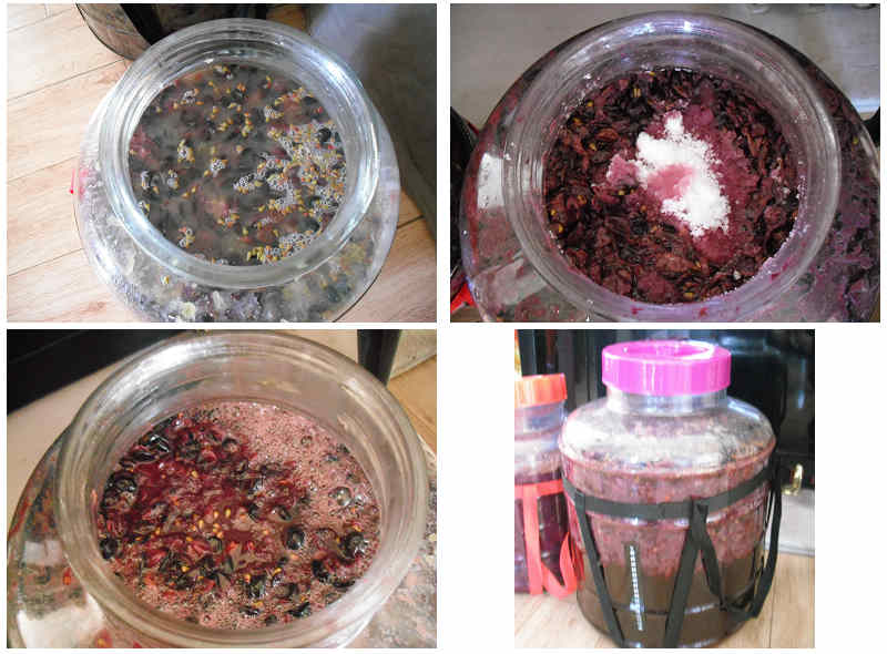 富硒大米的煮法（富硒大米的吃法）-硒宝网