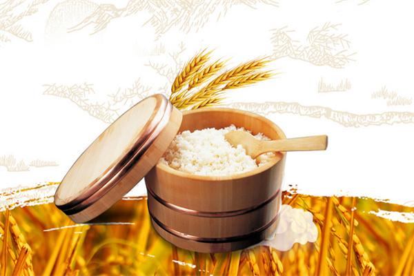 想代理富硒大米(富硒大米市场前景)-硒宝网