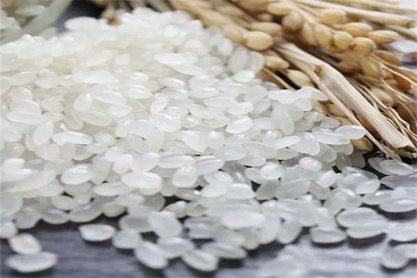 想代理富硒大米(富硒大米市场前景)-硒宝网