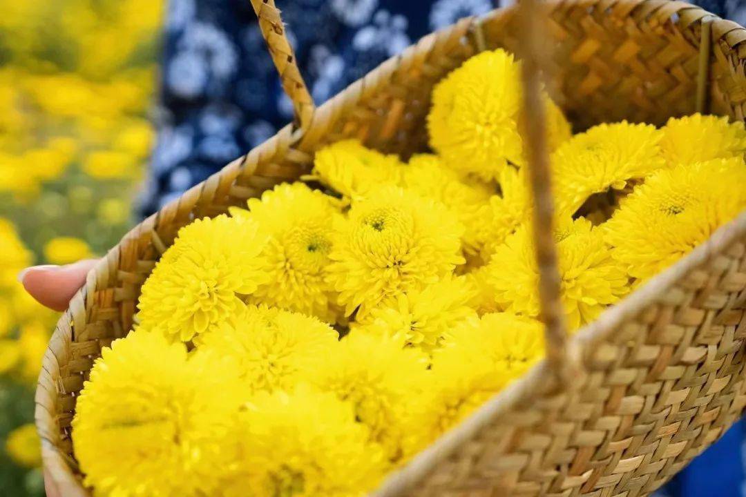 黑芝麻富硒大米(黑芝麻大米功效作用)-硒宝网