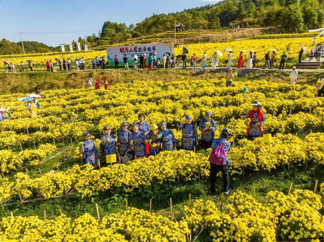 黑芝麻富硒大米(黑芝麻大米功效作用)-硒宝网