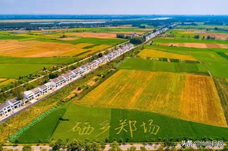 富硒大米怎么读(富硒的大米)-硒宝网