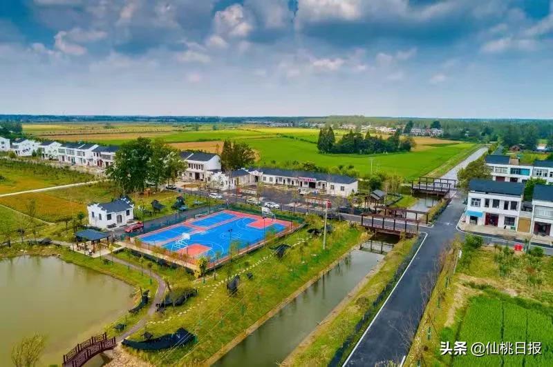 富硒大米怎么读(富硒的大米)-硒宝网