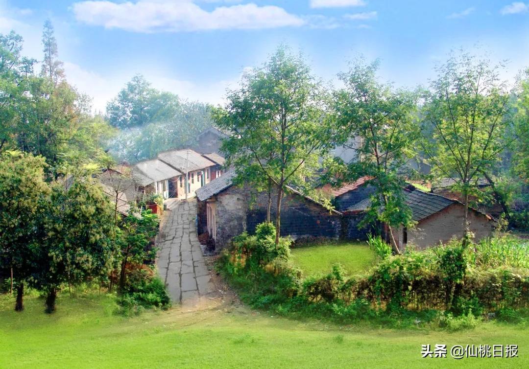 富硒大米怎么读(富硒的大米)-硒宝网