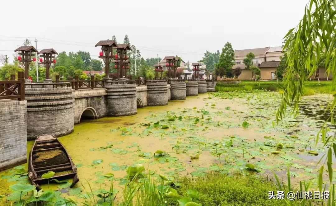 富硒大米怎么读(富硒的大米)-硒宝网