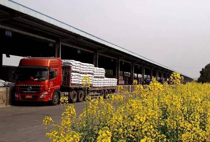 富硒大米已丰收（富硒大米的种植）-硒宝网